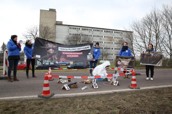 Tierrechtler sperren das Schweinehochhaus als Tatort ab 