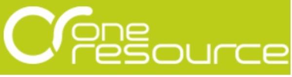 Von Kunden bescheinigt: IT Management Consulting
