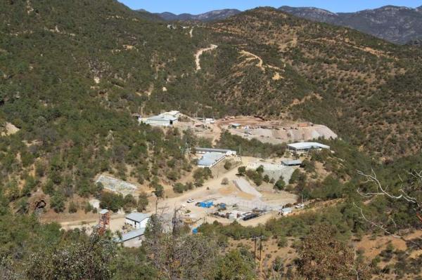 Umweltbewusstsein im Bergbau-Gewerbe und wilde Hirsche