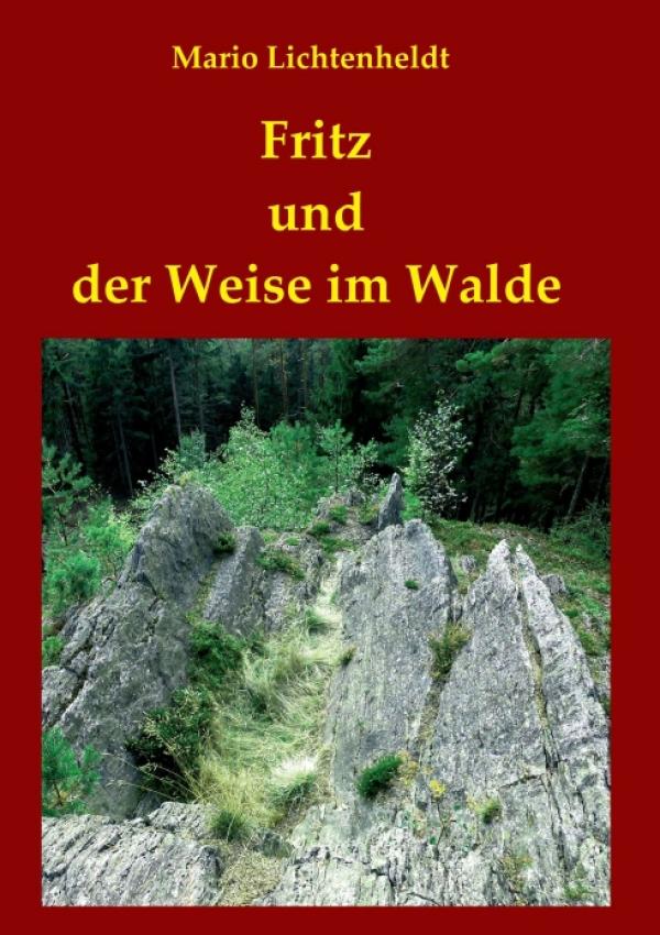 Fritz und der Weise im Walde - ein hellwaches und unterhaltsames Jugendbuch