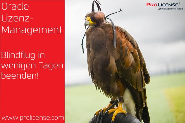 Oracle Lizenzmanagement - Blindflug in wenigen Tagen beenden!