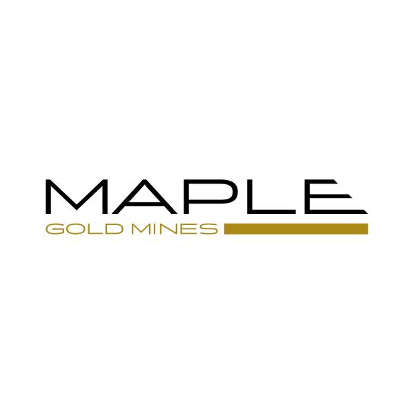 Maple Gold gibt Bohrergebnisse aus der Porphyr-Zone auf Douay bekannt