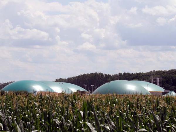 Mit Offenheit gegen Skepsis