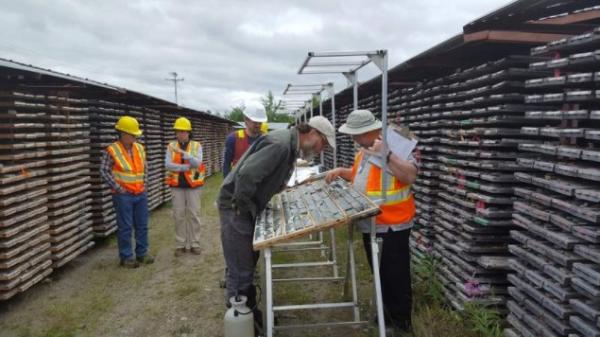 Maple Gold Mines vergrößert neue Zone mit hohen Gehalten und U.S. Gold Corp. konkretisiert Explorationsprogram