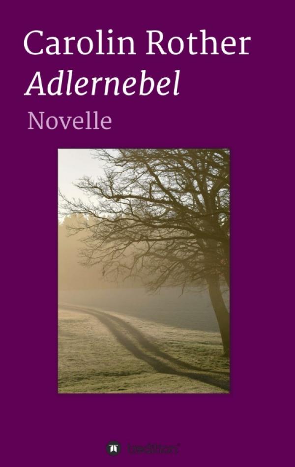 Adlernebel - eine bewegende Novelle erzählt von Trauer und Selbstfindung