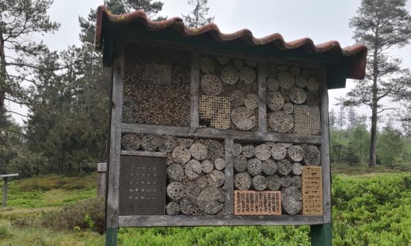 Gelaunched - Neue Ratgeberseite für Insektenhotels zum Schutz unserer Natur 