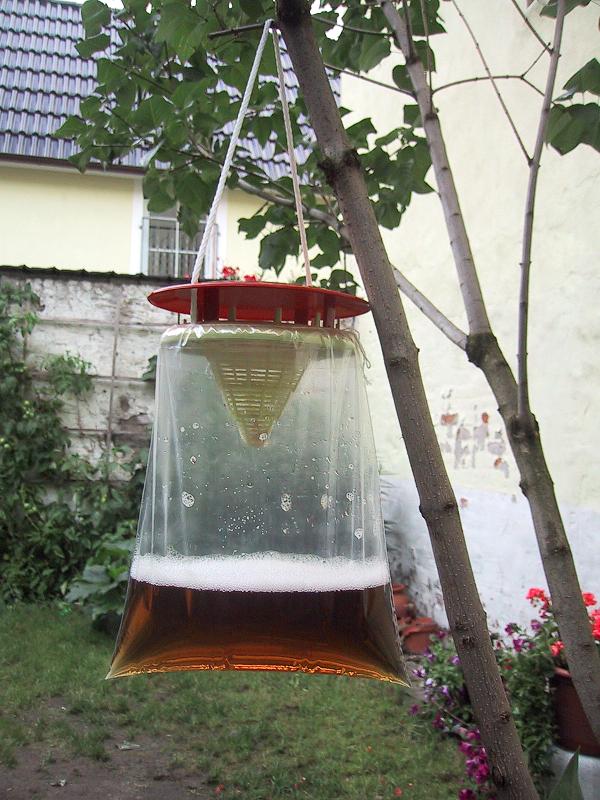 Insekten auf Distanz gebracht - Zwei Fliegen mit einer Klappe