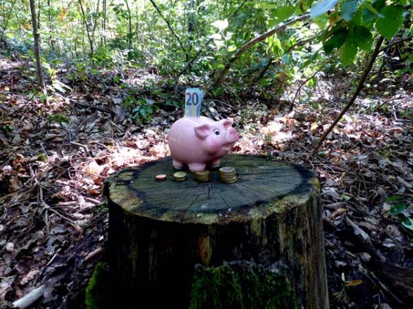 Schaffen nachhaltige Depots saftige Renditen?