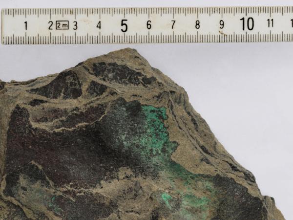 Aurania findet erste signifikante Kupfer- Silbermineralisierungen