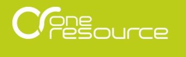 Effiziente Abbildung integrierter Prozessanforderungen: "Architekturberatung" von oneresource ag!