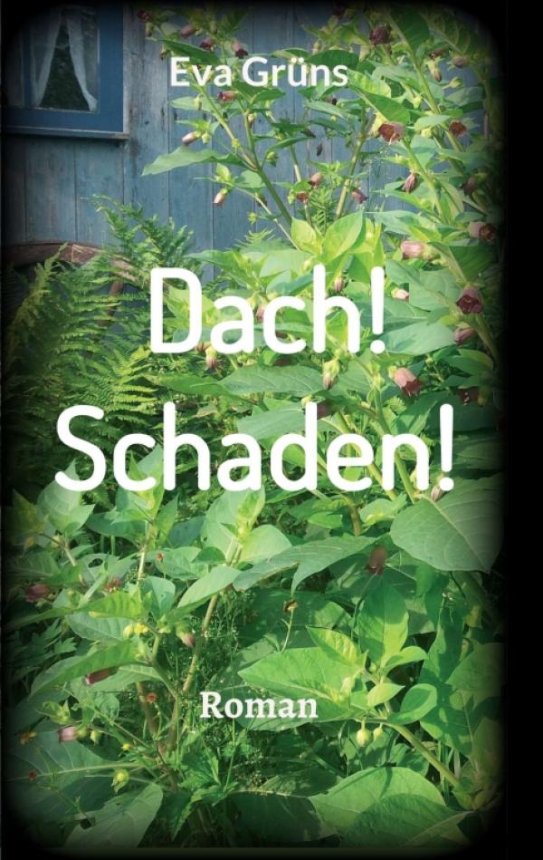 Dach! Schaden! - autobiographisch gefärbter Roman setzt sich mit dem Thema Stalking auseinander