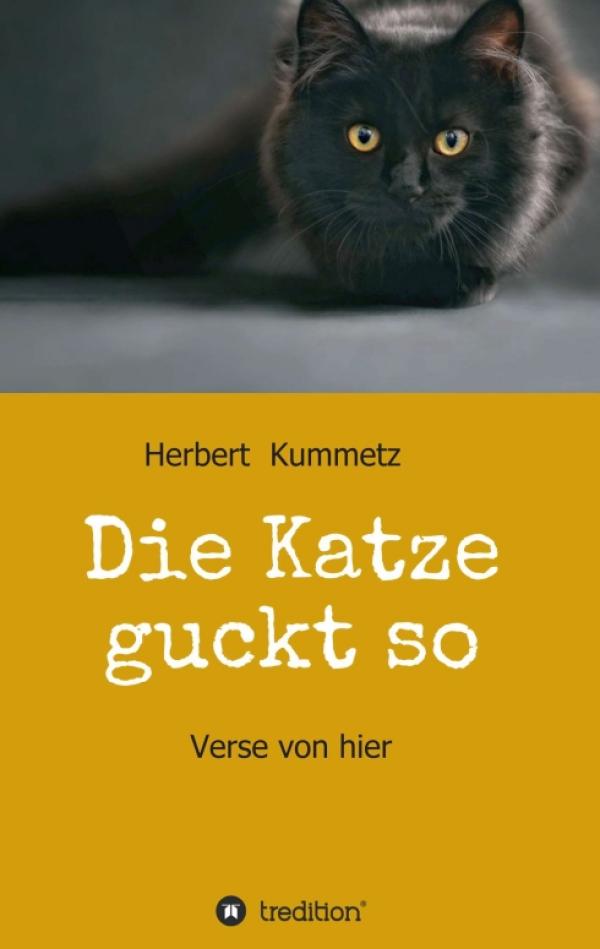 Die Katze guckt so - unaufgeregte, norddeutsche Poesie aus Schleswig-Holstein