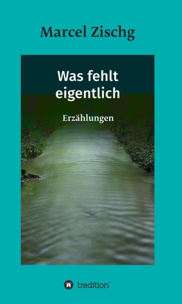 Was fehlt eigentlich - surreale Erzählungen und Liebesgeschichten rund um das Erwachsenwerden