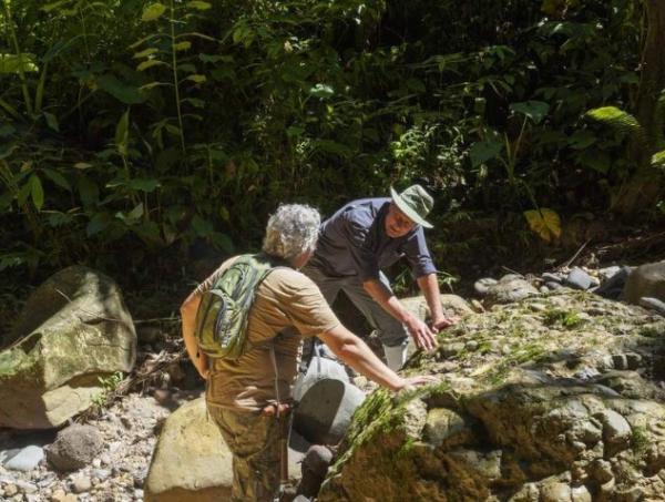 Aurania entdeckt neues hochgradiges Gold in Kupferzone und findet bei Schürfproben 325 g/t Silber