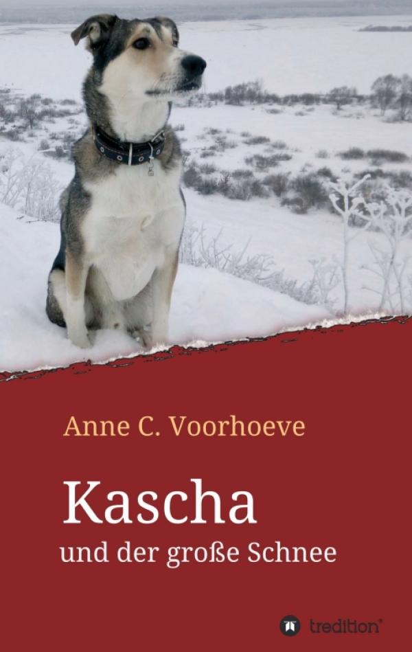 Kascha und der große Schnee - ein Jugend-Roman erzählt über eine Sinti-Familie in den 70er Jahren