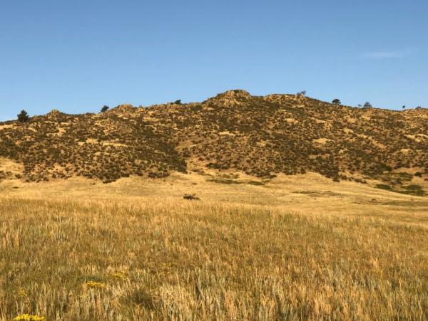 U.S. Gold Corp. Geologe erhält Master in Naturwissenschaft