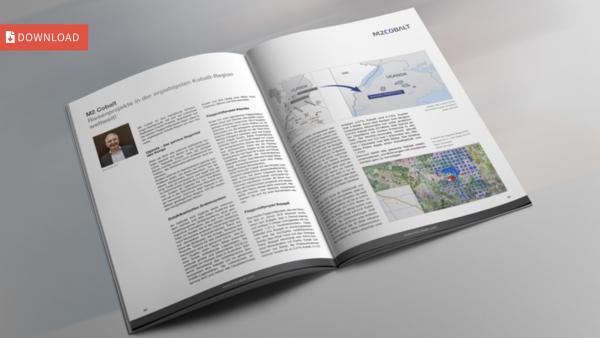 Gewinner Elektrospeicher