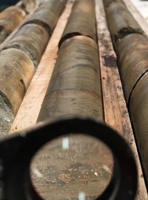 TerraX findet sichtbares Gold in historischen Bohrkern