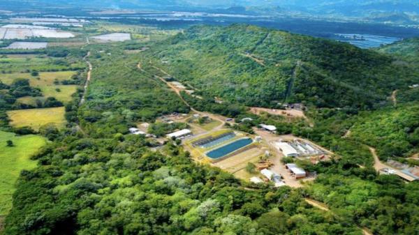 Ob in Russland oder in den USA - Goldinvestments nehmen zu