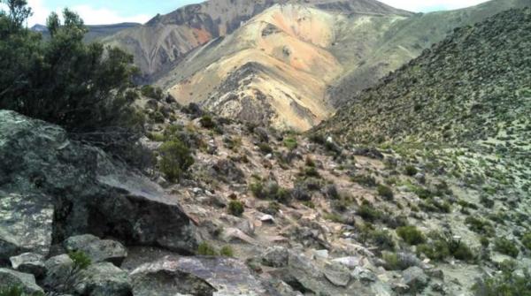 Welche Metalle in 2019 das Rennen machen könnten