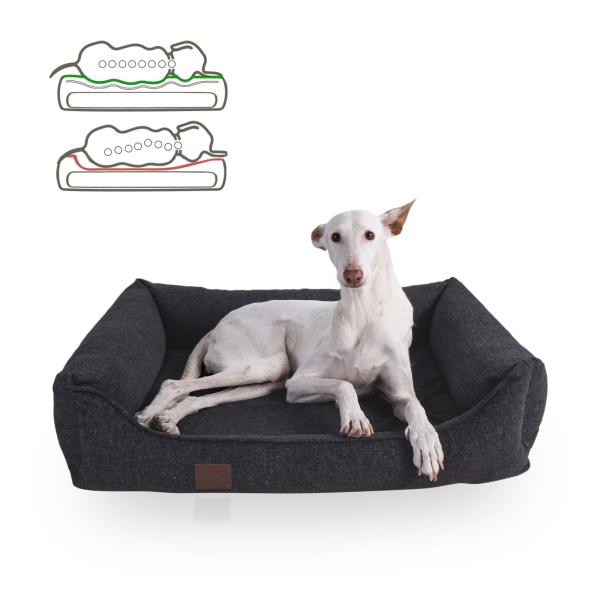 Das perfekte Hundebett - das ist wichtig bei der Wahl des Hundebetts