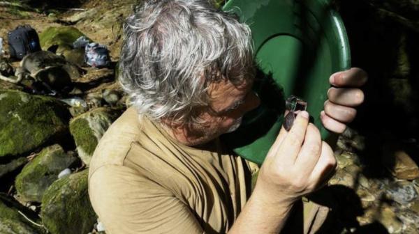 Gold sollte in 2019 glänzen