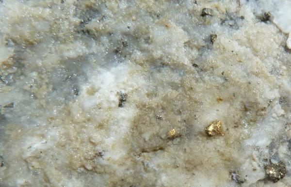 Eklatante Unterbewertung: Goldgesellschaft vor dramatischem Rebound?