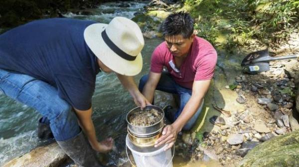 Goldkauf im großen Stil
