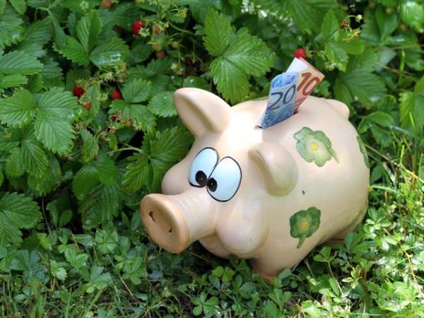 Wenn das Sparschwein stöhnt…
