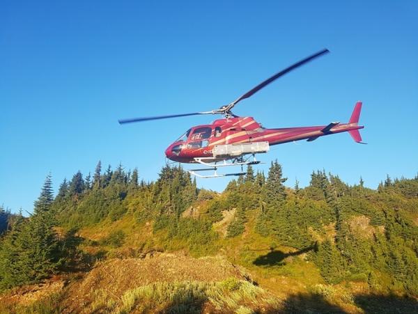 Bringt Skeena Resources die Weltklassemine Eskay Creek wieder in Produktion?