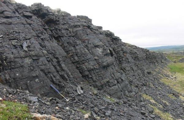 Ist das DER Profiteur der Eisenerzrallye?