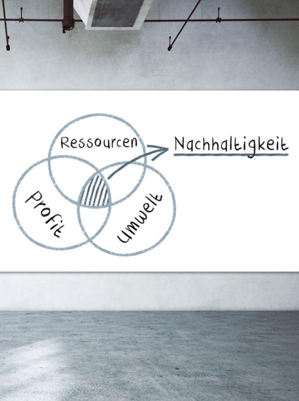 AkkSola ENERGY INVEST - Wo ein Pionier der Stromerzeugung das Herz eines jeden Investors höher schlagen lässt 