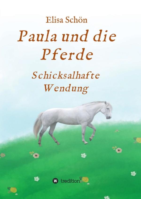 Paula und die Pferde - Magischer Mädchen-Roman