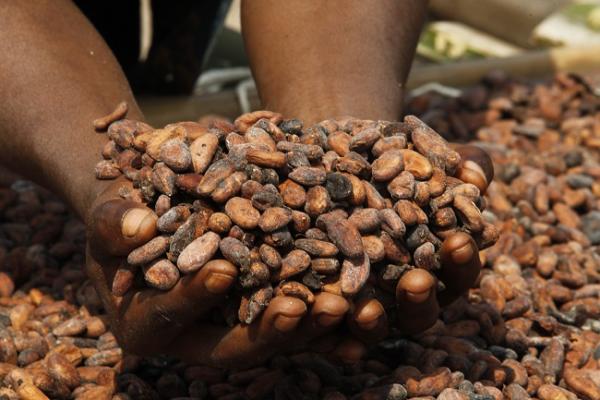 Lebkuchen-Schmidt stellt komplett auf Fairtrade-Kakao um