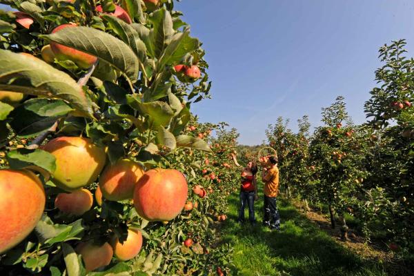 Thurgau Bodensee: Spazieren, feiern, entspannen