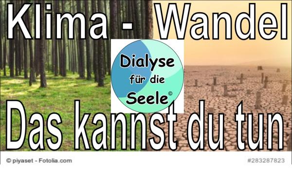 Du, der Klimawandel und der Schmetterlingseffekt - Kleine Schritte, große Wirkung