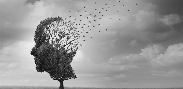 Hohe Renditen bei maximaler Sicherheit