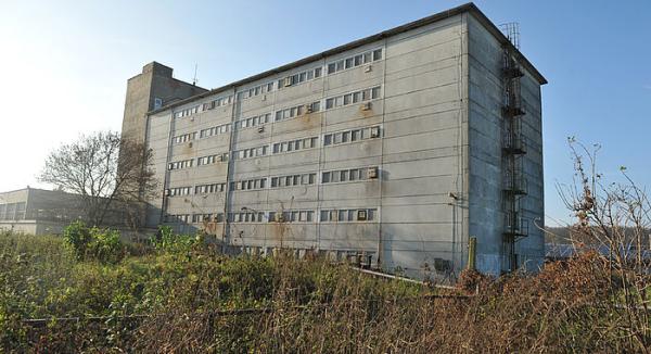 Schweinehochhaus steht seit 1 Jahr leer - Deutsches Tierschutzbüro fordert Abriss 