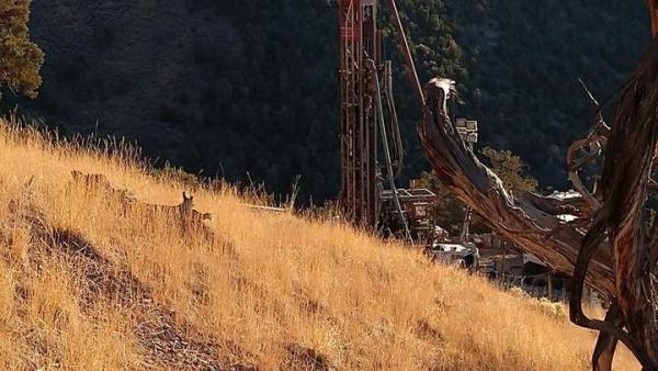 Gold weiterhin attraktiv