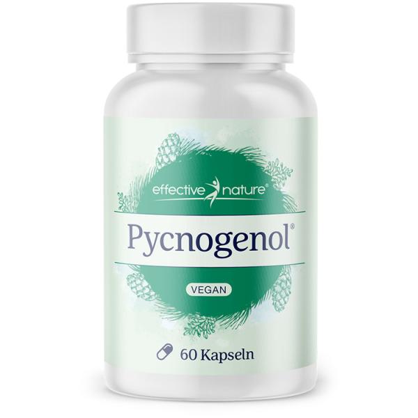 Pycnogenol® - der pflanzliche Begleiter auf Langstreckenflügen