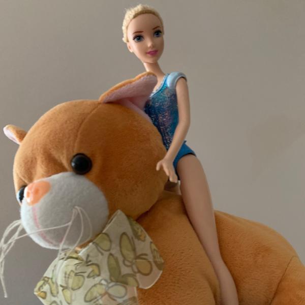 Pferdehalterhaftpflicht wird für Pferdebesitzer kompliziert