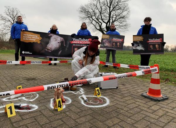 Ferkelzuchtbetrieb bei Drensteinfurt wird zum Tatort 