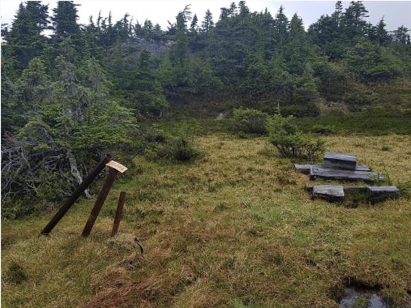 Skeena Resources - Top-Projekte inmitten des Goldenen Dreiecks