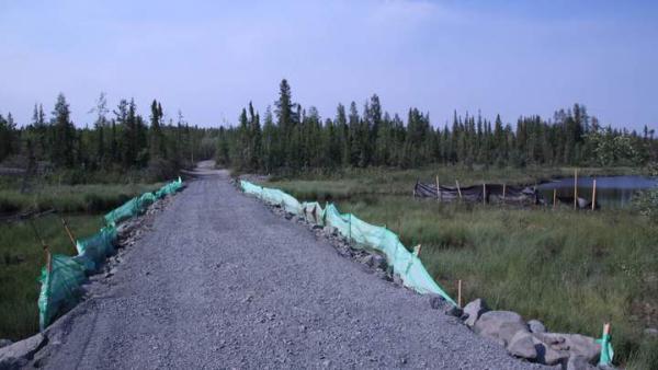 2020 - Aktien werden gewinnen