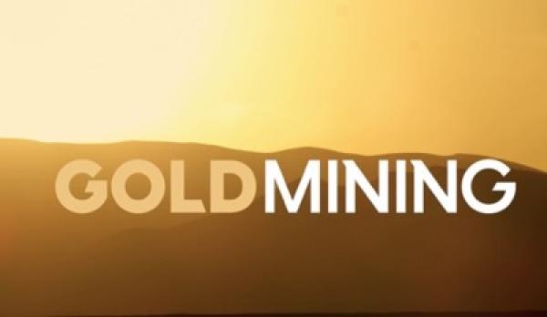 H.C. Wainwright erhöht Kursziele für Gold und GoldMining