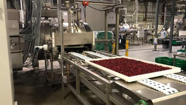 Die weltweite Ernährung sichern