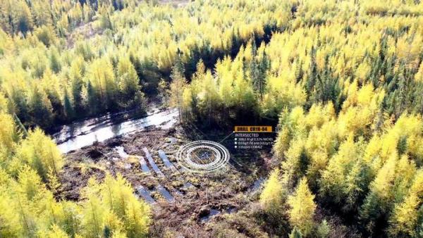 Canada Nickel - hervorragende mineralogische Ergebnisse lassen Kursfantasie aufkommen!