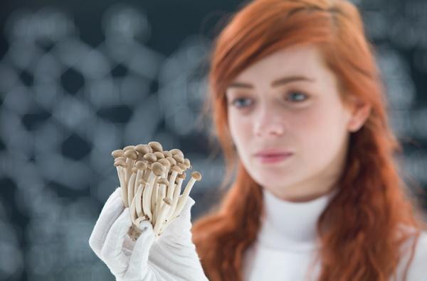 Champignon Brands: Die nächste Übernahme kommt!