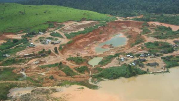 Gute Goldgesellschaften trotzen auch Corona