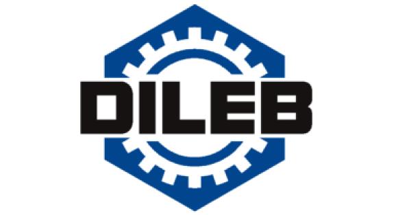 DILEB Maschinenbau GmbH & Co.KG